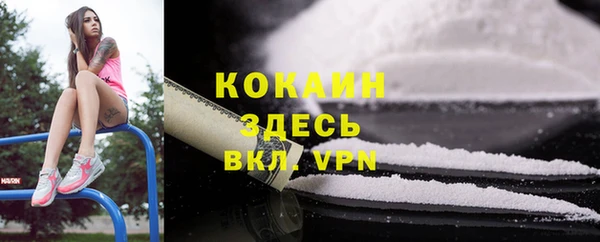 трава Бородино