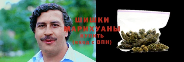 трава Бородино