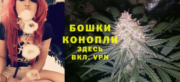 трава Бородино