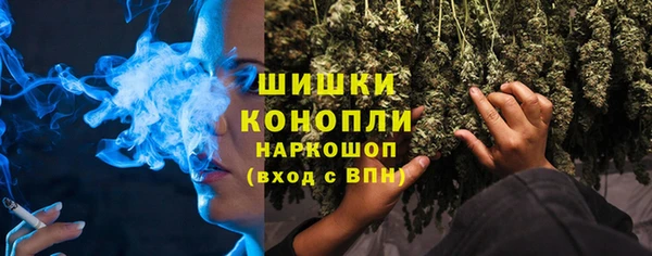 трава Бородино