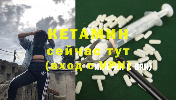 трава Бородино