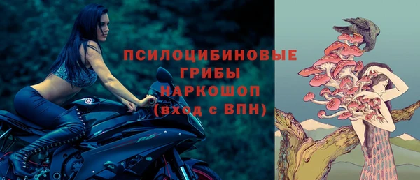 трава Бородино